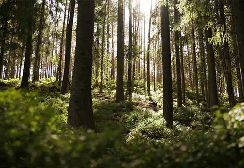 Riduzione dell'impronta ambientale e dell'impatto ecologico